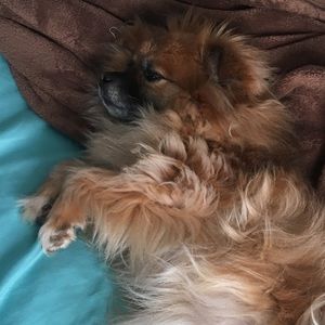 Meet your Posher, Sara